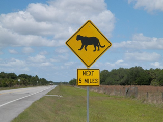not my image. it was 1am and I was flying by at *mumble mumble* miles per hour